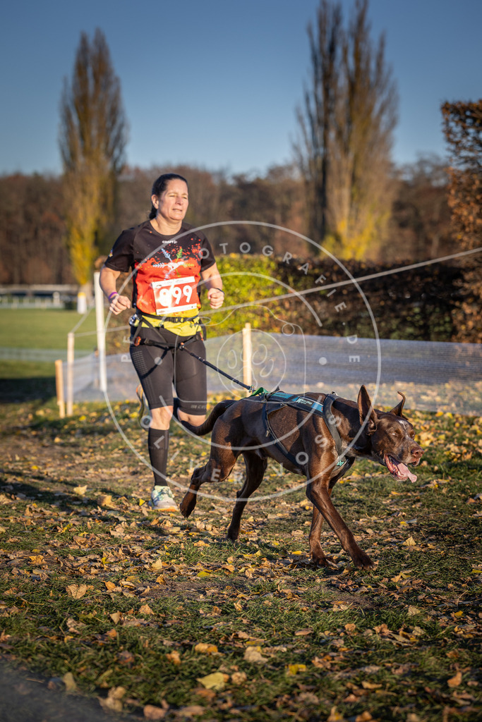 CaniXpix_DV3A4594 | Hundefotografie, Tierfotograf, Pfotenfotografie, Fotoshooting Hund, Hunde Portrait, Hundesport, Hundeportraits, Heideshooting, Hunde, Sportfotograf, Hundefotograf, Turnierhundsport, THS,  - Realisiert mit Pictrs.com