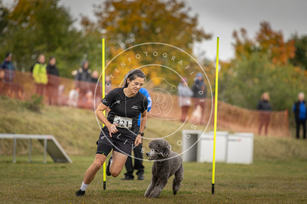 Pfotenfotografie_DV3A3757 | Hundefotografie, Tierfotograf, Pfotenfotografie, Fotoshooting Hund, Hunde Portrait, Hundesport, Hundeportraits, Heideshooting, Hunde, Sportfotograf, Hundefotograf, Turnierhundsport, THS,  - Realisiert mit Pictrs.com