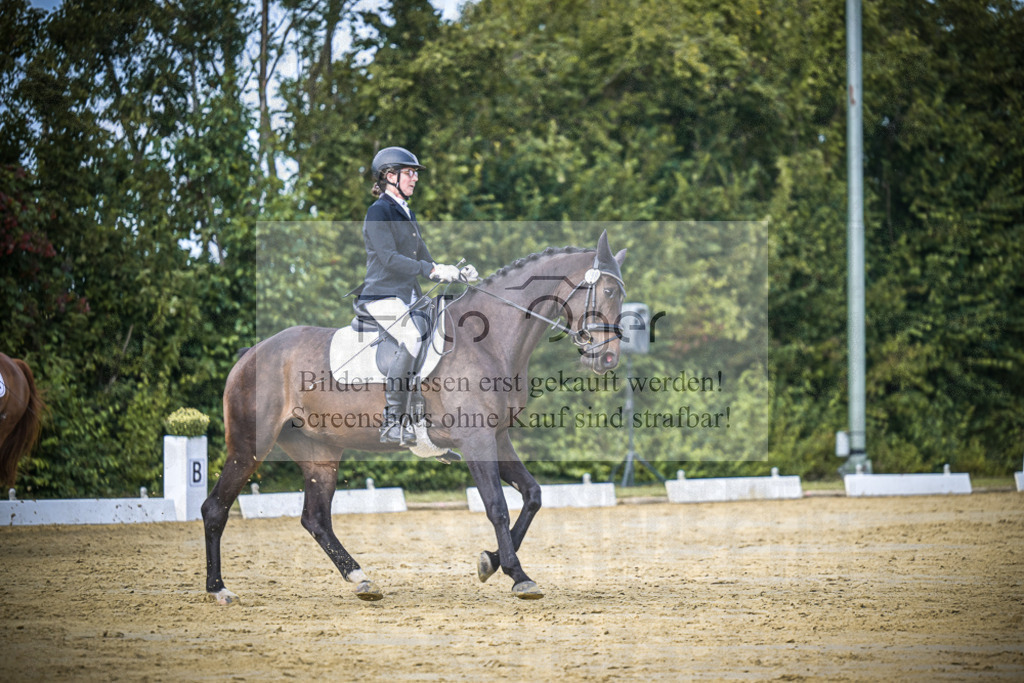 DOS_5828 | Entdecke hochwertige Reitturnierfotos von Foto Oger. Professionell, emotional und authentisch – jetzt Lieblingsmomente im Shop bestellen.Deutschlandweite Turnierfotografie. - Realisiert mit Pictrs.com