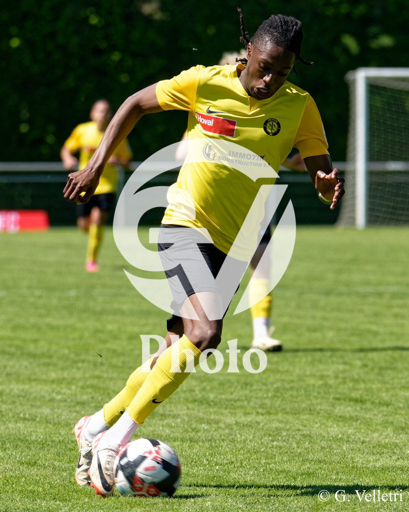 DSC_7324 | Velletri Photo