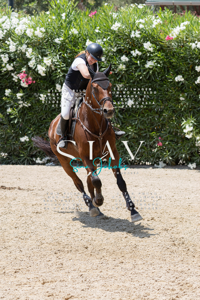 IMG_1657 | s-jay-photography - Realisiert mit Pictrs.com