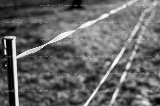 Zanunband im Streiflicht | Im Streiflicht der Morgensonne entstand dieses minimalistische Foto des strukturierten Zaunbandes.