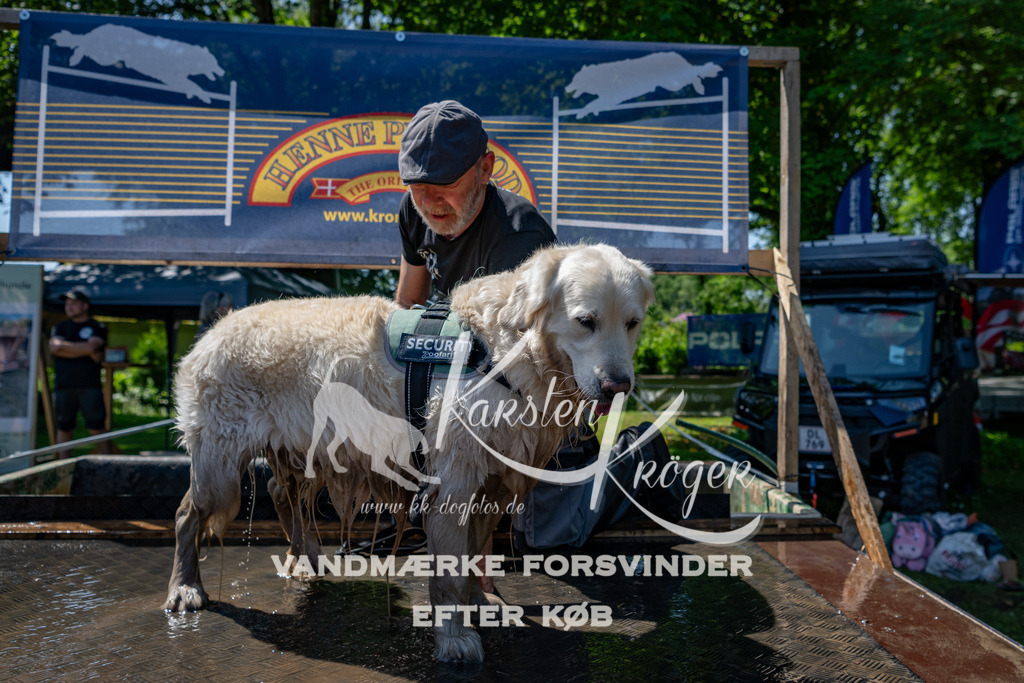 1251_ZZ90239 | kk-dogfotos