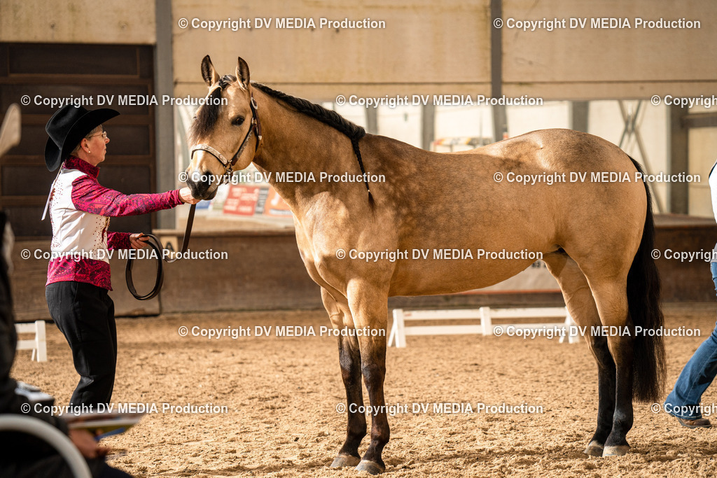 Heiligenwald Tag 1-070 | dv-media-shop - Realisiert mit Pictrs.com