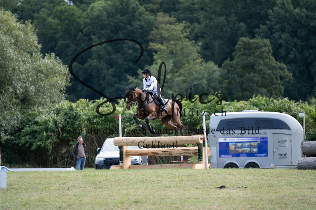 A7V00788 | Pferdefotograf