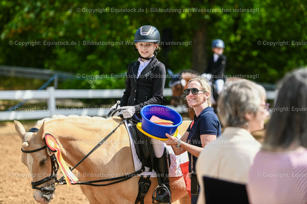 20230716_10-3_Reiter-WB Schritt - Trab - Galopp_0201 | equistock