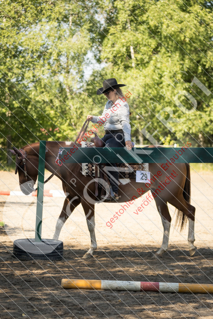 IMG_7454 | Sport-, Event- und Tierfotos in Profiqualität. Einfach auswählen, bestellen und herunterladen. Dein Moment – perfekt festgehalten.