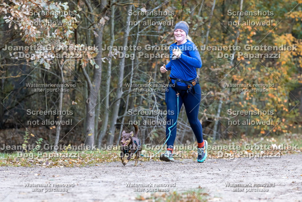 Dog Paparazzi - SD CaniX Championship 2025-435 | Dog Paparazzi Jeanette Grottendiek Fotografie & Videografie - Realisiert mit Pictrs.com