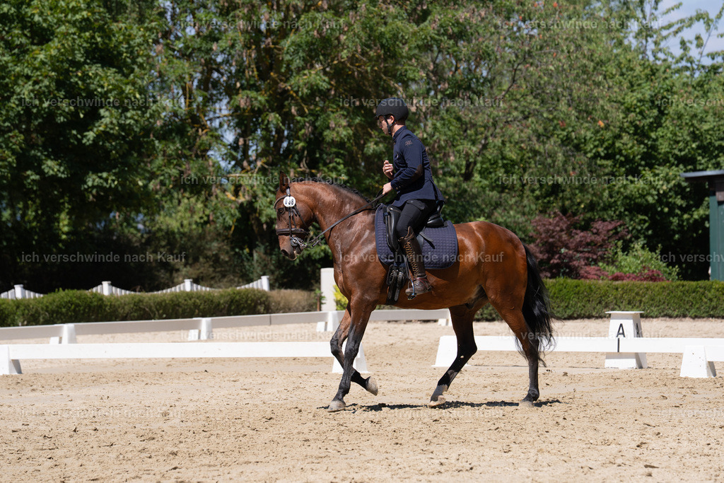WS_DR_38_sinafilmart_IN03050 | working equitationturnier fotograf videograf stoibphotography marixx film working equitation deutschland reitsport turnierfotografie eventfotografie equestrian events