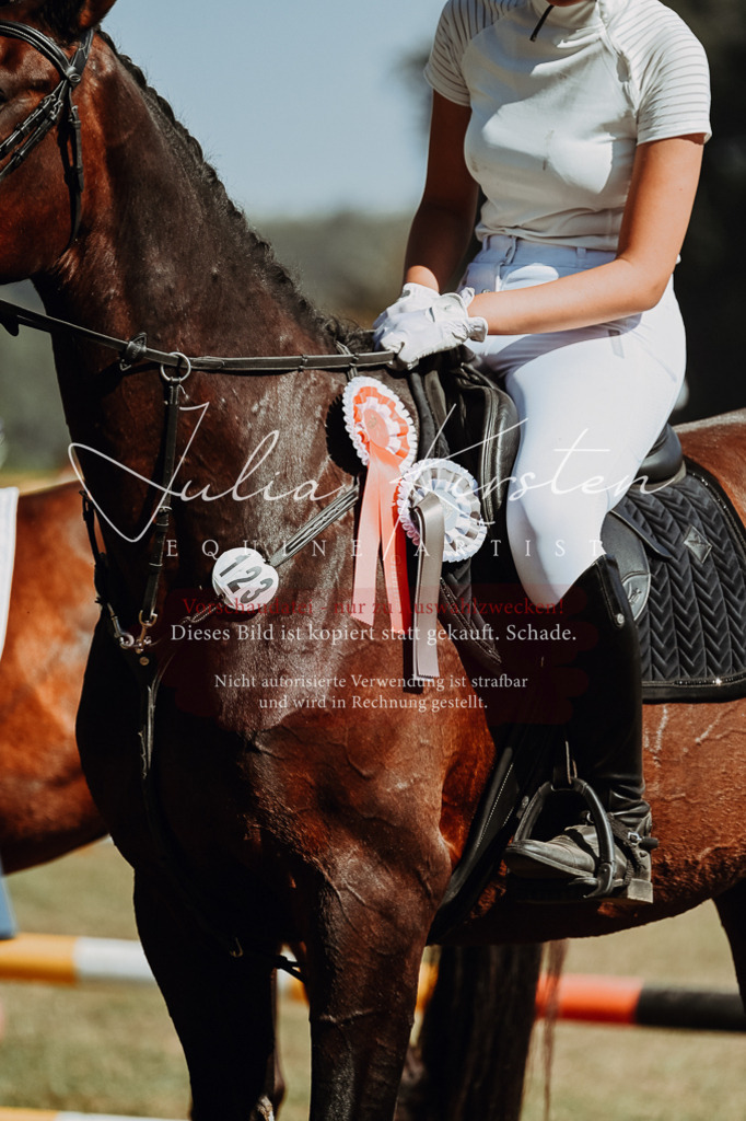 DSC_0150 | Pferde- und Turnierfotografie in Westsachsen. Pferdeportraits, Auftragszeichnungen und intuitive Kunst.