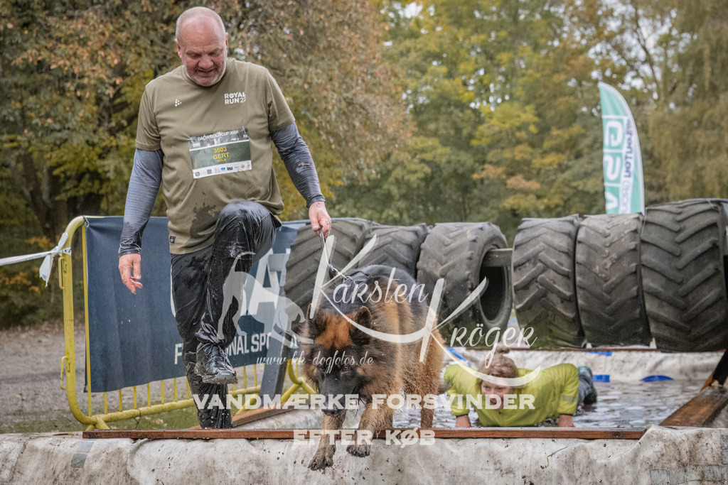 1654_ZZ94357 | kk-dogfotos