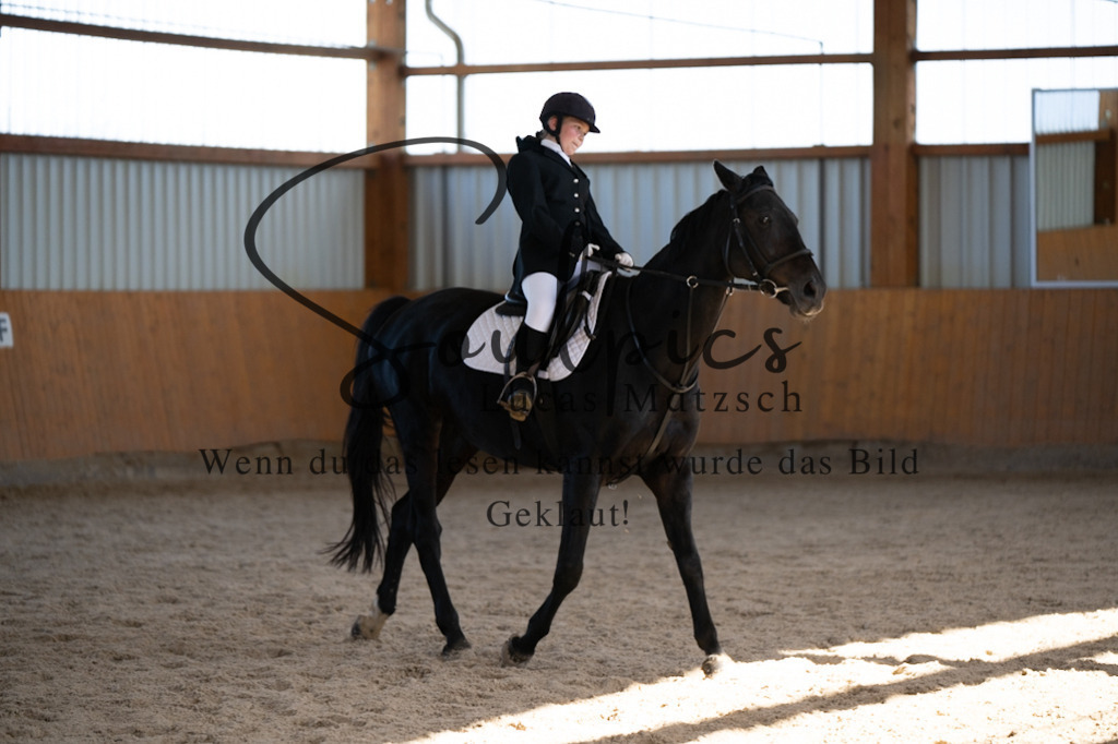 A7V02185 | Turnier/Reitfotograf