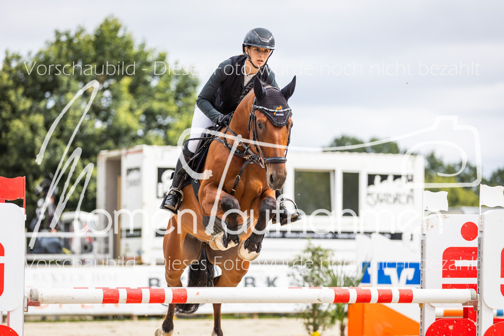 BHO-2PhSpr-M-5-2259 | MomenTaufnahmen Pferdesportfotos