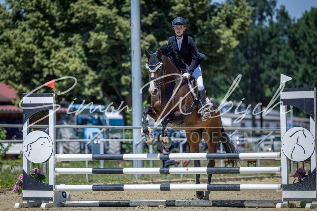 20260704-_3LI8372 | Tierfotografie Pferde, Hunde, Katzen, Haustiere.
Turnierfotografie Reitturniere, Reiten, Springreiten, Dressur in Hanau, dem Main-Kinzig-Kreis und dem Rhein-Main- Gebiet um Frankfurt