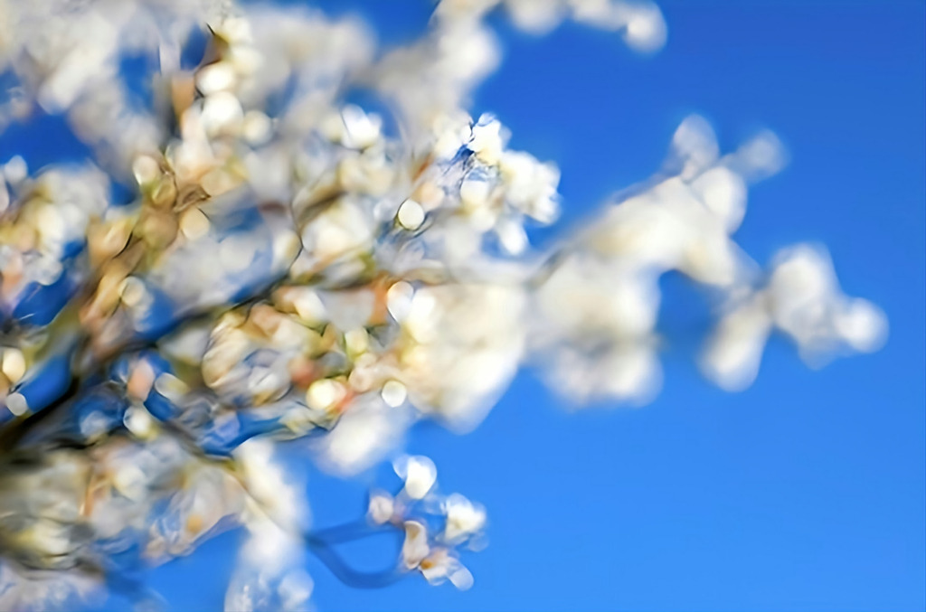 PSX_20240617_230746 | Kaufen sie online außergewöhnliche Fotografien auf Leinwand Acrylglas Fotoprint Aludibond von holgerweigeltfotografie - Realisiert mit Pictrs.com