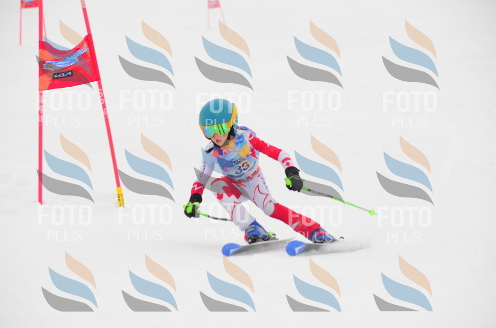 C0781 | holidayphoto