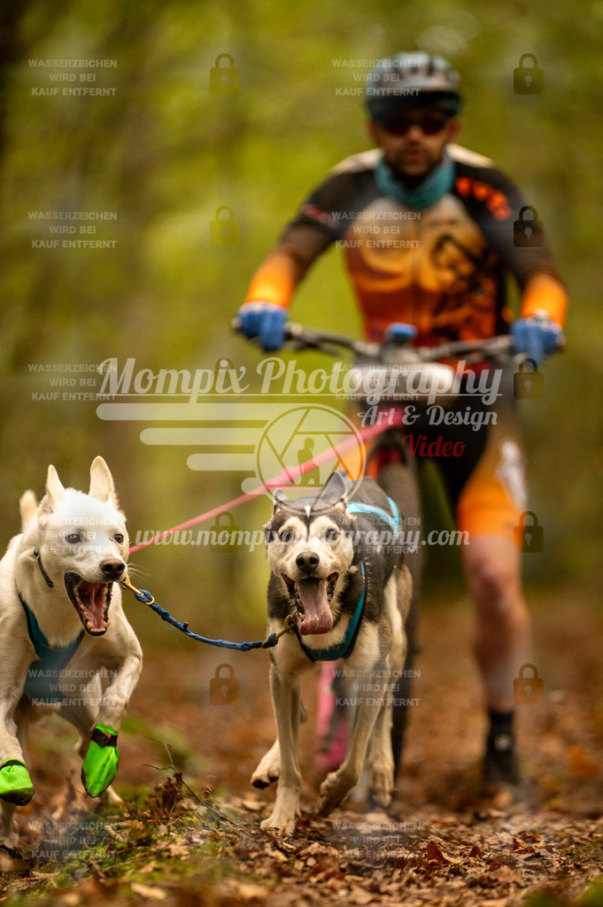 TSB_2023_E1_DS2-9 | PayLife