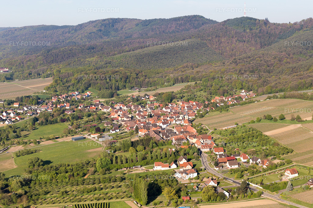 Aerial view: View of the town in Rott in the state Bas-Rhin, France.Photo: IMG_099296.jpg taken on 04/30/2017 by Werner Riehm/FLY-FOTO.comResolution of the original: 4924 x 3283 px