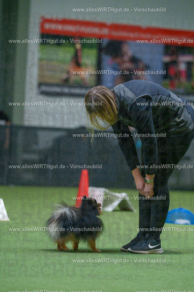 7R503489 | Professionelle Tierfotografie in Mönchengladbach von Daniel Wirth (allesWIRTHgut). Liebevolle & natürliche Bilder von Hunden & Katzen für unvergessliche Erinnerungen.