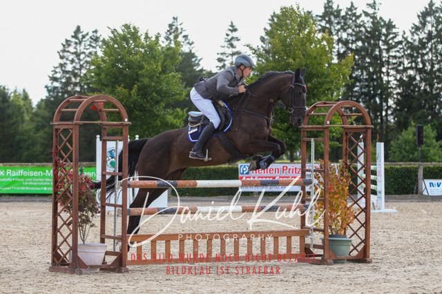 DKP43818 | Turniersportfotografie; Pferdefotografie; Dressurfotografie