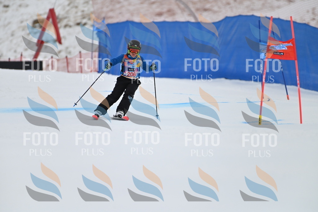 BGV_2146 | holidayphoto