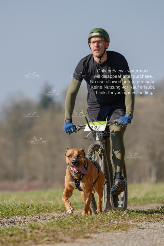 Scooter_Lang-38 | stephaniefillaphotographie - Realisiert mit Pictrs.com