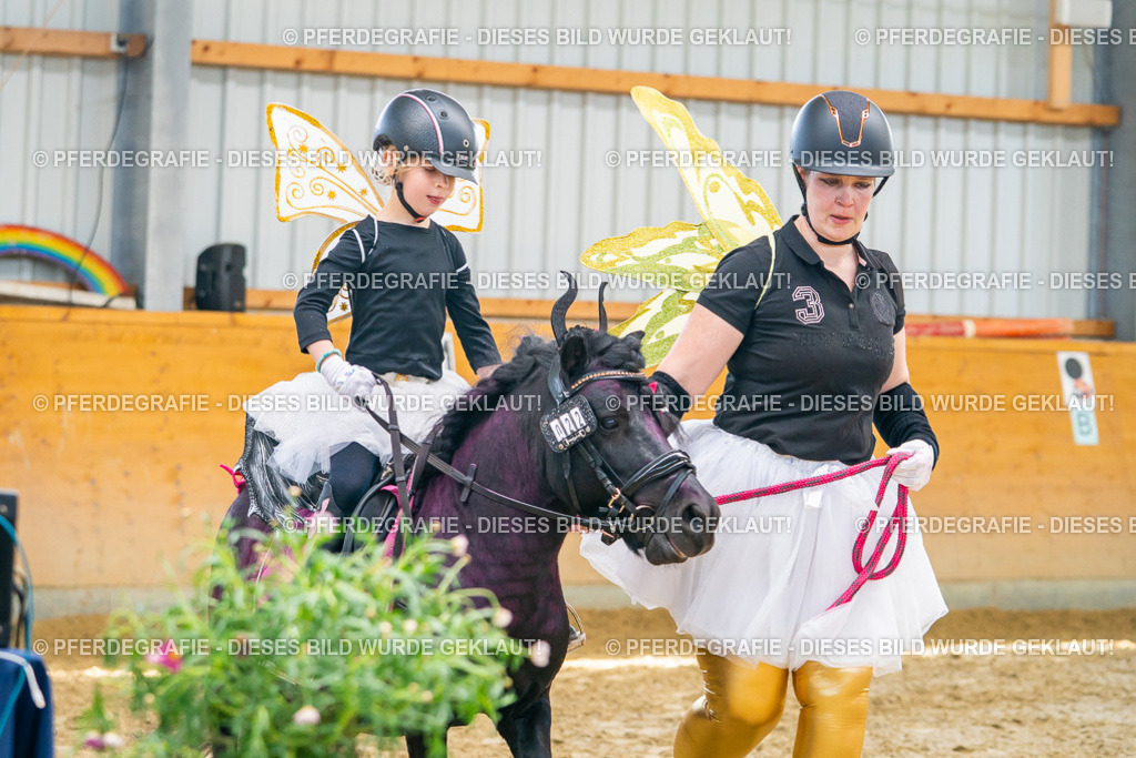 DSC09931 | Pferdegrafie