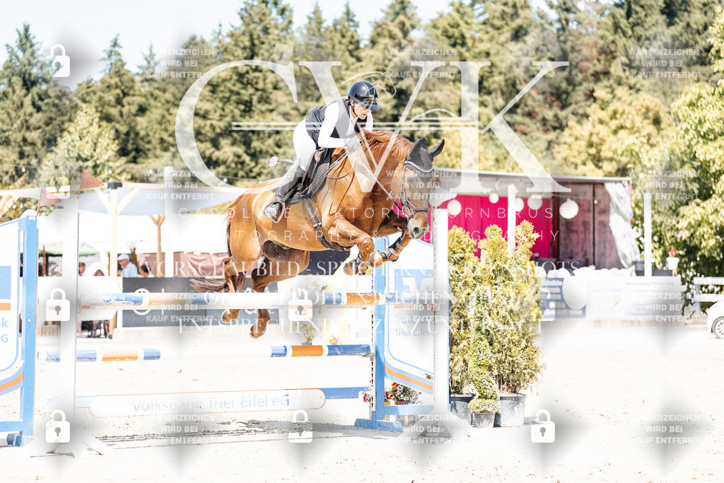 CK900441 | Turnierfotografie Pferdefotografie Trier Rheinland-Pfalz Pferdesport Reitsport Tierfotografie Sportfotografie Pferdevideo Pferdevideografie Equestrianvideography equestrianphotography  - Realisiert mit Pictrs.com