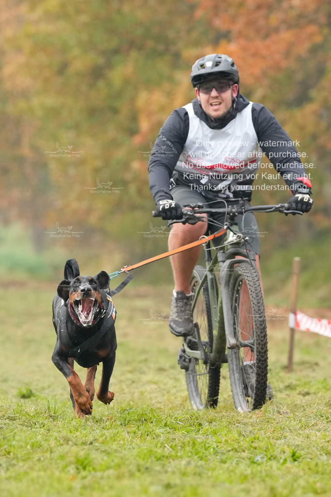 AusschnitteSa-130 | stephaniefillaphotographie - Realisiert mit Pictrs.com