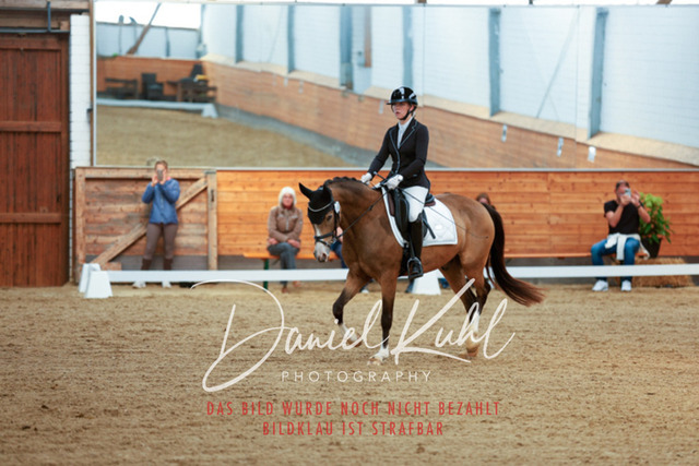 _62_5347 | Turniersportfotografie; Pferdefotografie; Dressurfotografie