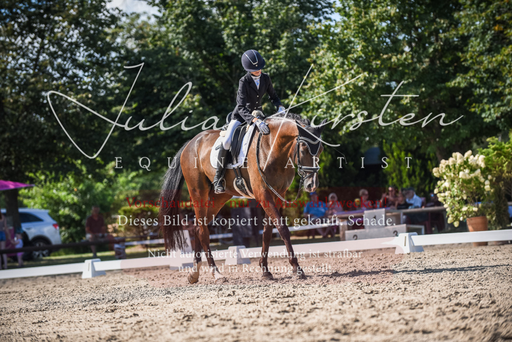 DSC_9617 | Pferde- und Turnierfotografie in Westsachsen. Pferdeportraits, Auftragszeichnungen und intuitive Kunst.