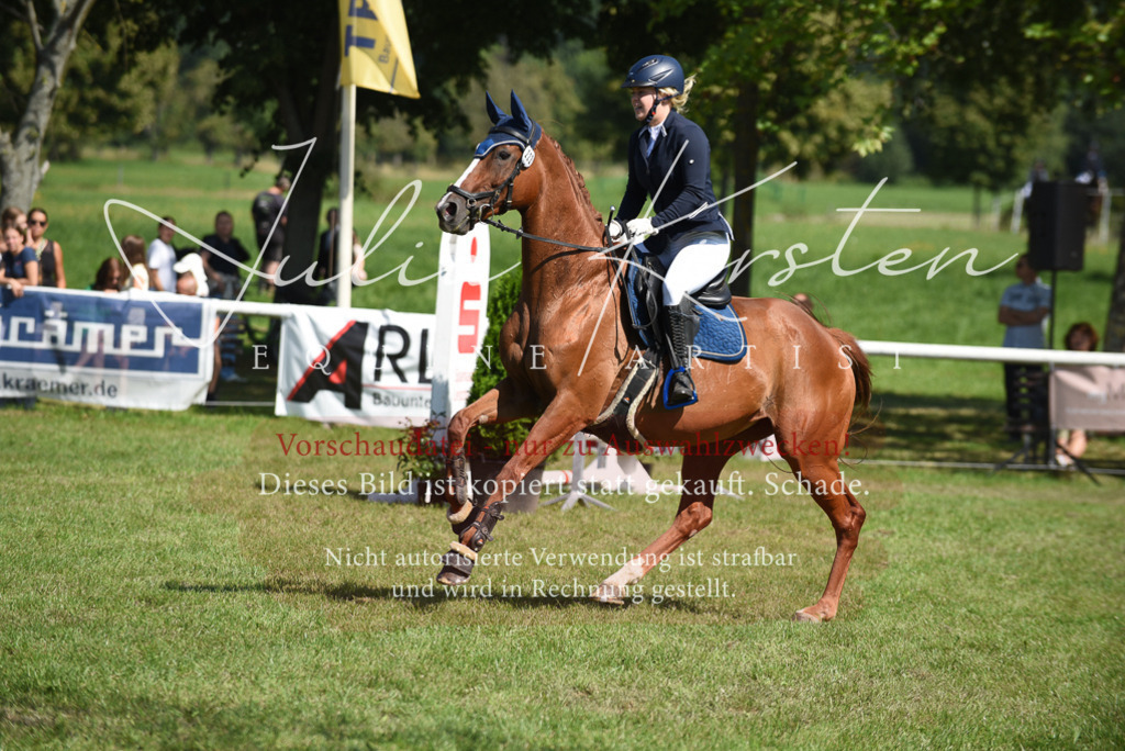DSC_9291 | Pferde- und Turnierfotografie in Westsachsen. Pferdeportraits, Auftragszeichnungen und intuitive Kunst.