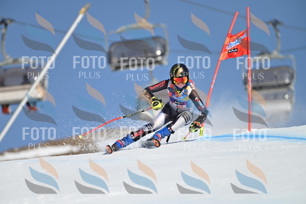 BGV_8383 | holidayphoto