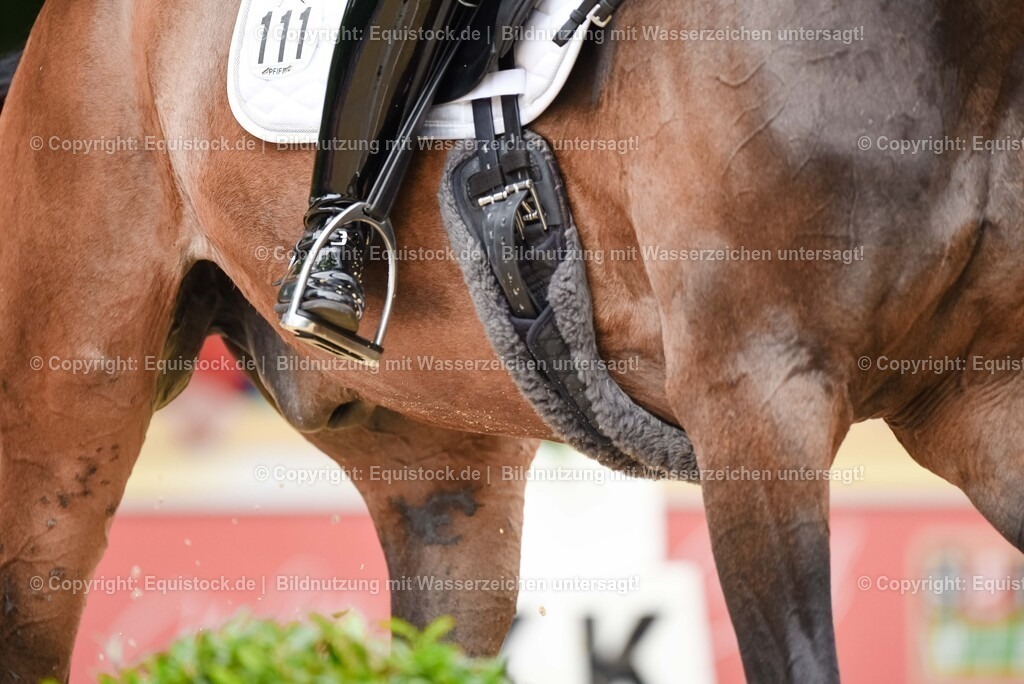 20250607_1_GP-Tour_Dressage_0336 | Foto: Thomas Hartig