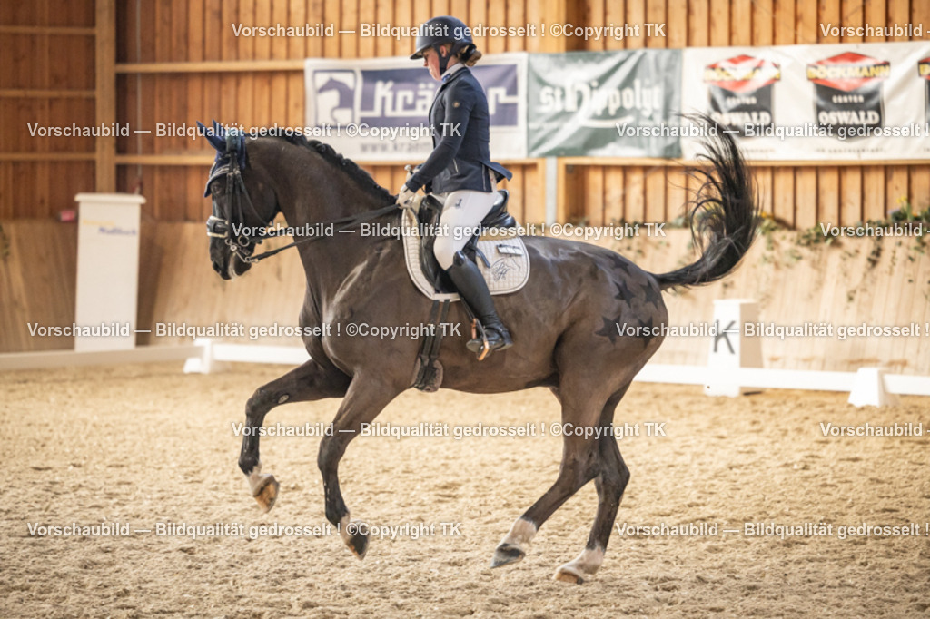 _D5A9552 | Emotionale Pferde- & People-Fotografie rund um Heidelberg, Leimen & Umgebung. Natürliche Fotos von Pferd, Mensch & Familie. Jetzt Termin sichern!