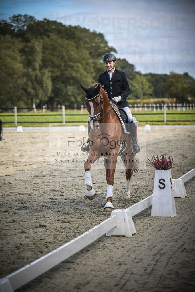 DOS_0123 | Entdecke hochwertige Reitturnierfotos von Foto Oger. Professionell, emotional und authentisch – jetzt Lieblingsmomente im Shop bestellen.Deutschlandweite Turnierfotografie. - Realisiert mit Pictrs.com