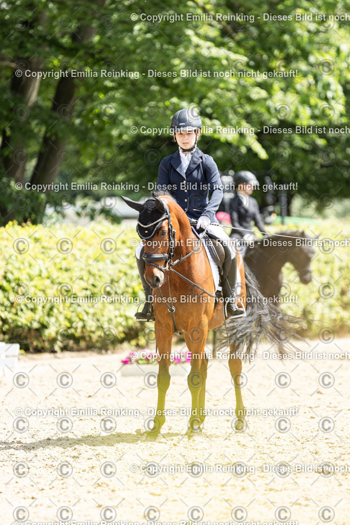 CL5A8341 | Emilia Reinking Fotografie - Realisiert mit Pictrs.com