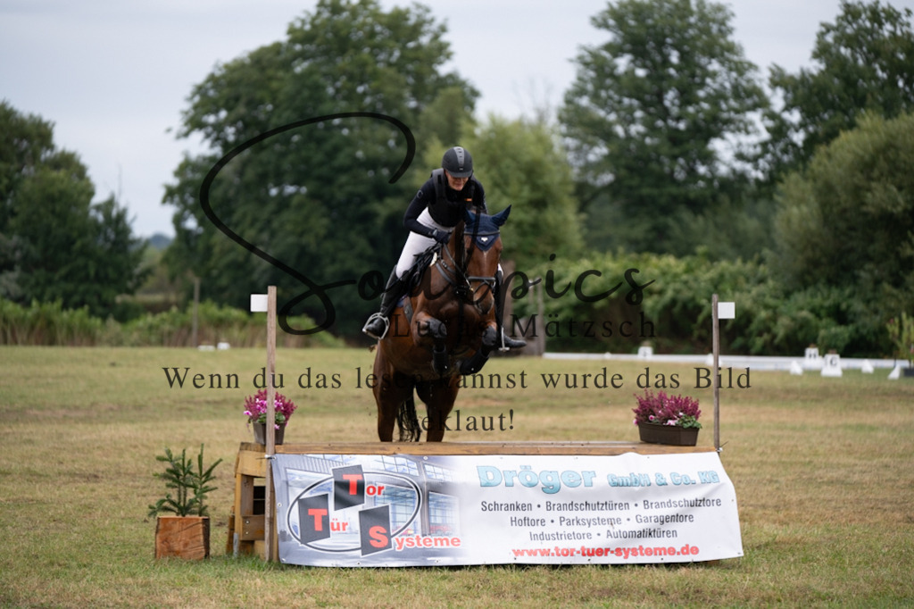 A7V00243 | Pferdefotograf