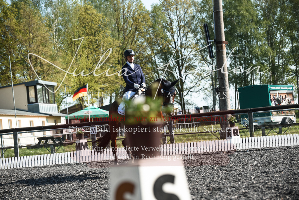 DSC_8530 | Pferde- und Turnierfotografie in Westsachsen. Pferdeportraits, Auftragszeichnungen und intuitive Kunst.