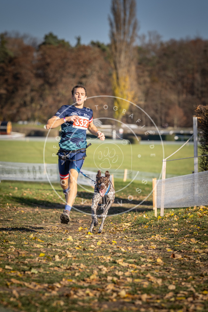 CaniXpix_DV3A0140 | Hundefotografie, Tierfotograf, Pfotenfotografie, Fotoshooting Hund, Hunde Portrait, Hundesport, Hundeportraits, Heideshooting, Hunde, Sportfotograf, Hundefotograf, Turnierhundsport, THS,  - Realisiert mit Pictrs.com