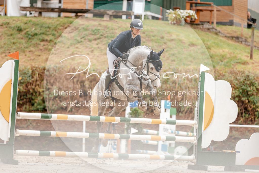 3I6A5818 | Stimmungsvolle Portraits und Reitsportfotografie im Ruhrgebiet und im Münsterland.

Pferdefotografie, Hundefotografie, Tierfotografie, Reportagen, Portraits von Tier und Mensch, Turnierfotografie in Bochum, Recklinghausen, Marl, Haltern am See, Dülmen.. - Realisiert mit Pictrs.com