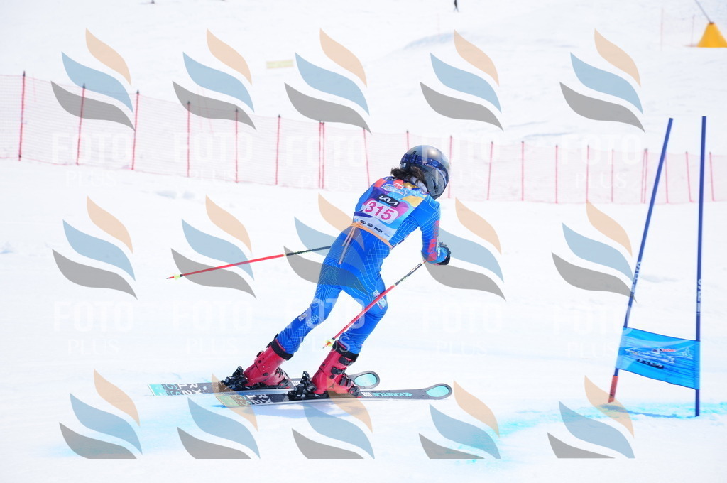 DSC_6805 | holidayphoto