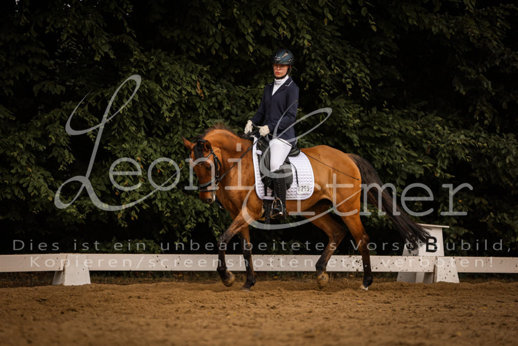 DoDrE00372 | Leoni Ertmer Photography - Realisiert mit Pictrs.com