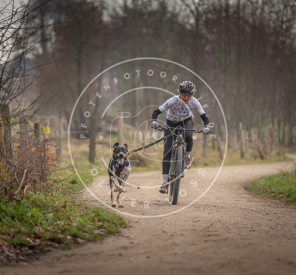 Pfotenfotografie_DV3A1605 | Hundefotografie, Tierfotograf, Pfotenfotografie, Fotoshooting Hund, Hunde Portrait, Hundesport, Hundeportraits, Heideshooting, Hunde, Sportfotograf, Hundefotograf, Turnierhundsport, THS,  - Realisiert mit Pictrs.com