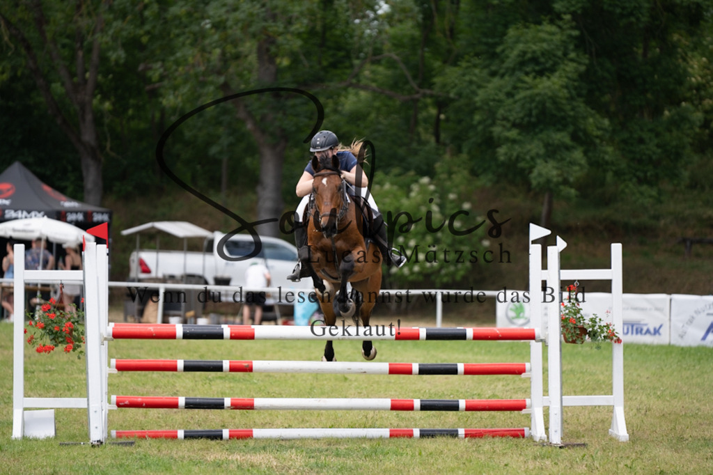 A7V06828 | Pferdefotograf