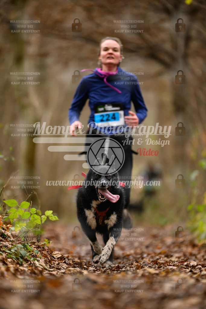 MompixPhotography_Eschau2024_CCC-82 | PayLife