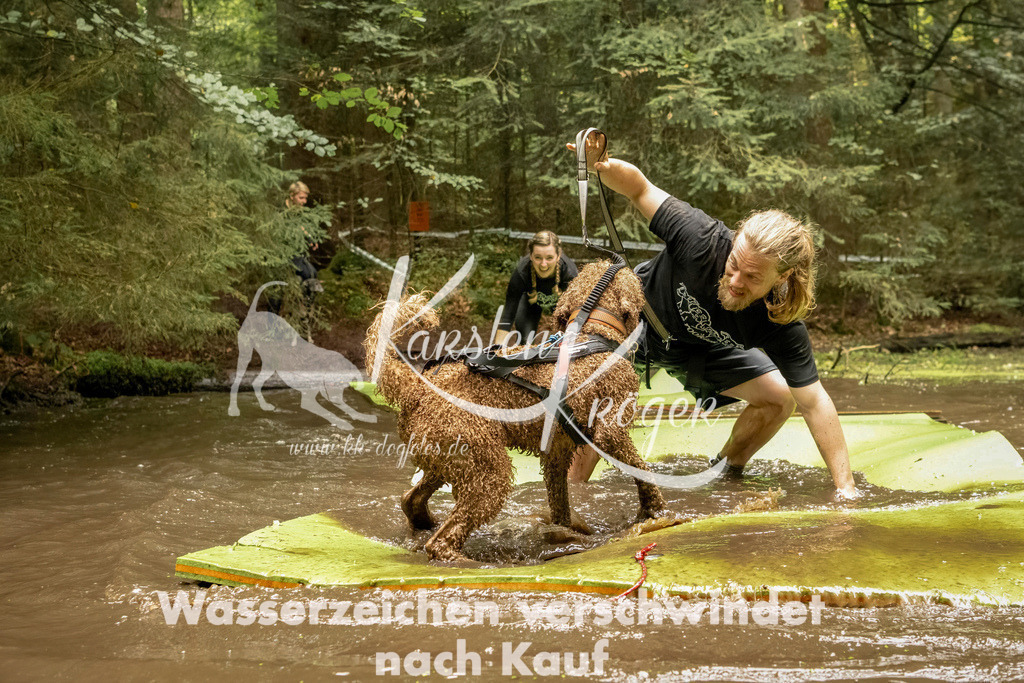 1217_ZZ93718-Bearbeitet | kk-dogfotos