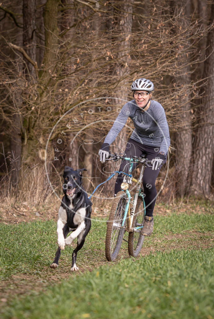 DV3A6173 | Hundefotografie, Tierfotograf, Pfotenfotografie, Fotoshooting Hund, Hunde Portrait, Hundesport, Hundeportraits, Heideshooting, Hunde, Sportfotograf, Hundefotograf, Turnierhundsport, THS,  - Realisiert mit Pictrs.com