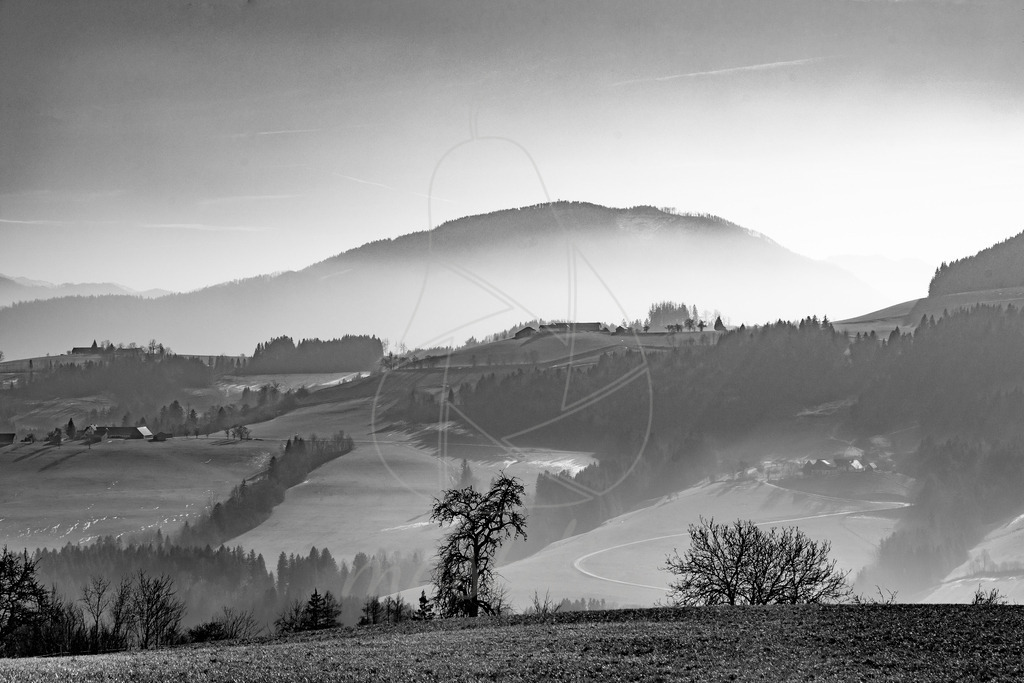 Prochenberg in SCHWARZ WEISS | Diesiger Prochenberg. - Realisiert mit Pictrs.com
