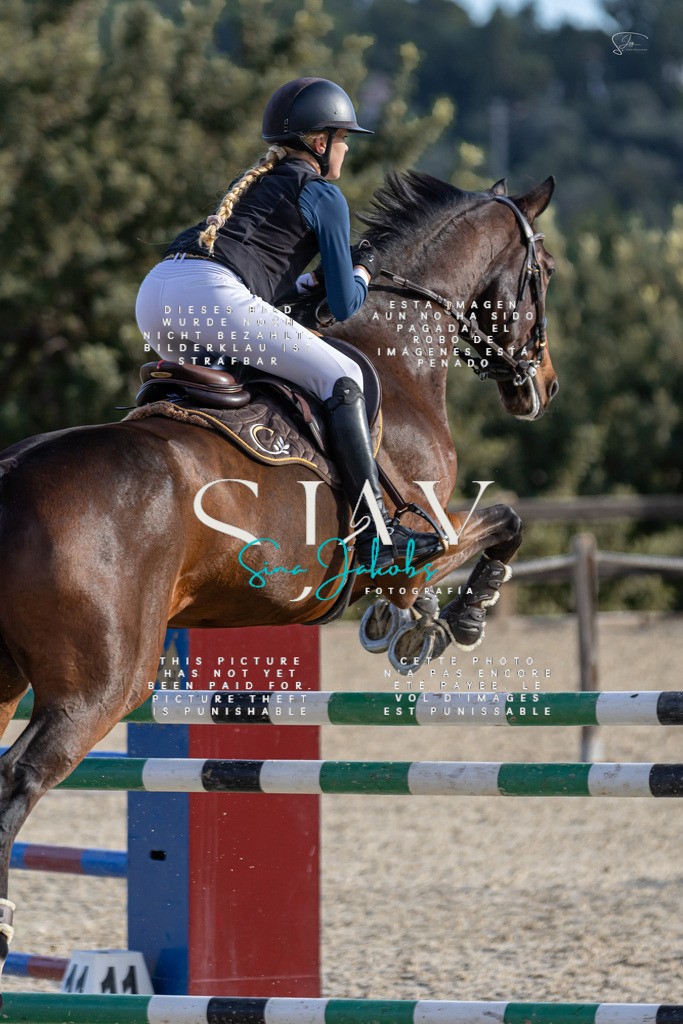 IMG_0317 | s-jay-photography - Realisiert mit Pictrs.com